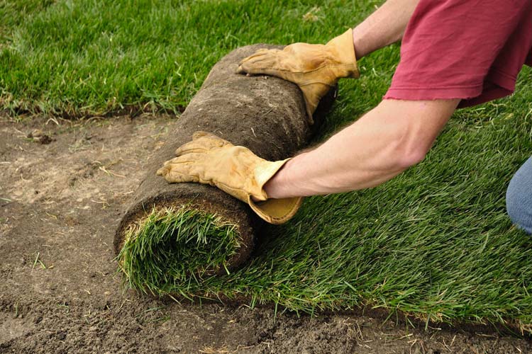 installing-sod